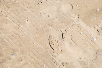 Golden Sand on the beach as background. Sand Texture. Golden sand. Background from fine sand.