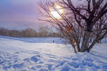 Sunset view on the top of Moiwa mountain in winter snow