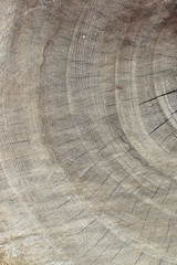 brown wood lumber log texture background