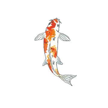 Koi fish. Hand drawing sketch. Black outline on white background. Watercolor illustration can be used in greeting cards, posters, flyers, banners, logo, further design etc.