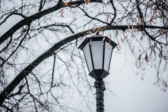 street lantern in winter