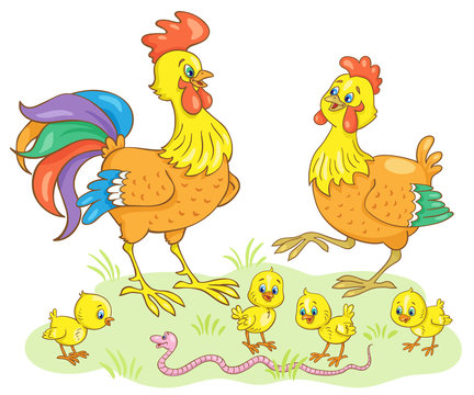 Chicken family. Cockerel, chicken and chicks look at the worm in the meadow.  In cartoon style. Isolated on white background. Vector illustration.