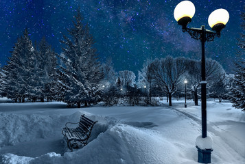 Night landscape in winter snowy city park in light of lanterns. Snowdrifts arround bench, snowy firs, crowns of trees with hoarfrost covered shine in evening illumination of street lanterns. Starry sk