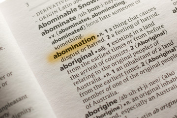 The word or phrase Abomination in a dictionary.