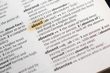 The word or phrase Abseil in a dictionary.