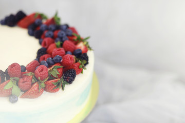 Beautiful festive cake biscuit with different creams