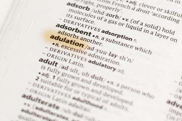 The word or phrase Adulation in a dictionary.