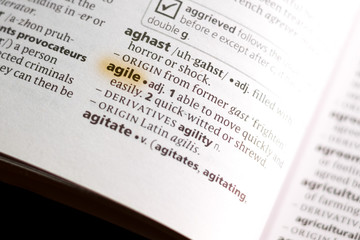 The word or phrase Agile in a dictionary.