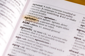 The word or phrase Agitator in a dictionary.