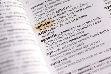 The word or phrase Agitator in a dictionary.