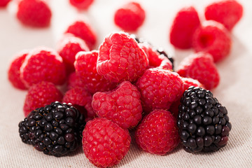 handful of fresh raspberry and blackberry berries on white background