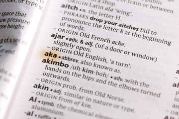 The word or phrase Aka in a dictionary.
