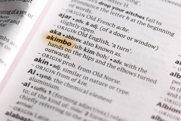 The word or phrase Akimbo in a dictionary.