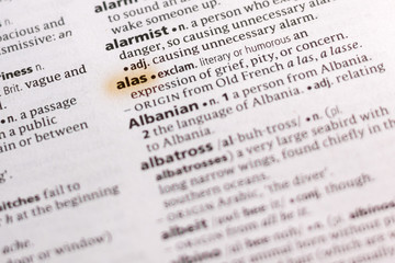 The word or phrase Alas in a dictionary.