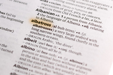 The word or phrase Albatross in a dictionary.