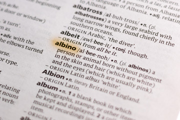 Naklejka premium The word or phrase Albino in a dictionary.