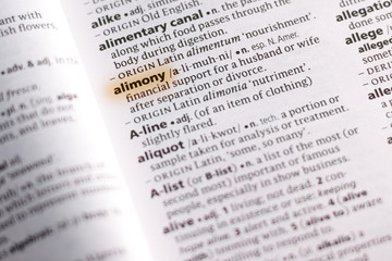 The word or phrase Alimony in a dictionary.