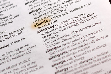 The word or phrase Alleluia in a dictionary.