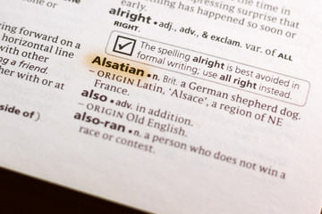 The word or phrase Alsatian in a dictionary.
