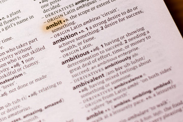 The word or phrase Ambit in a dictionary.