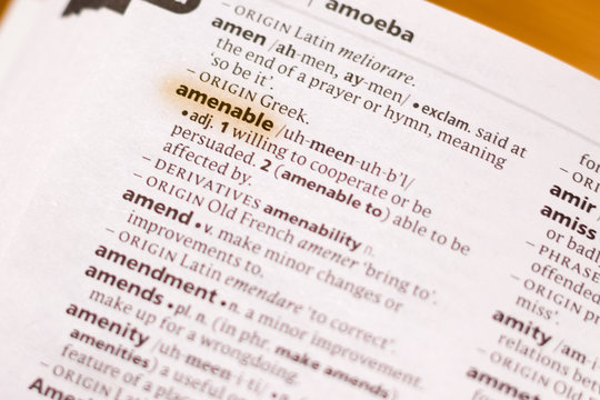 The word or phrase Amenable in a dictionary.