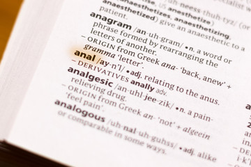 The word or phrase Anal in a dictionary.