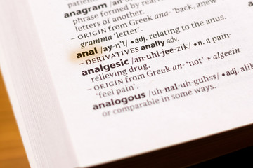 The word or phrase Anal in a dictionary.