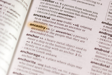 The word or phrase Ancestry in a dictionary.