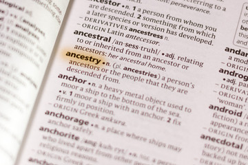 Obraz premium The word or phrase Ancestry in a dictionary.