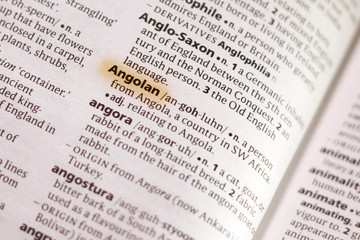 The word or phrase Angolan in a dictionary.