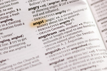 The word or phrase Angst in a dictionary.