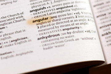 The word or phrase Angular in a dictionary.