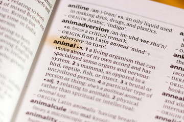 The word or phrase Animal in a dictionary.