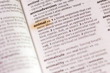 The word or phrase Animal in a dictionary.