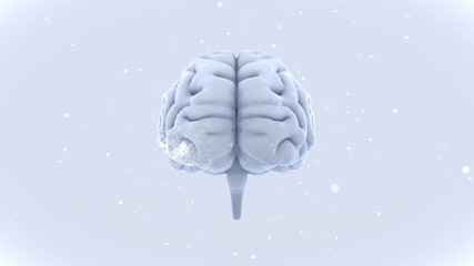 Brain head human mental idea mind 3D illustration background