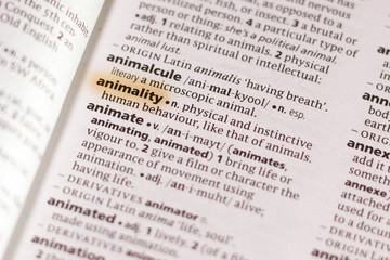 The word or phrase Animality in a dictionary.