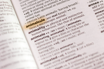 The word or phrase Animalcule in a dictionary.