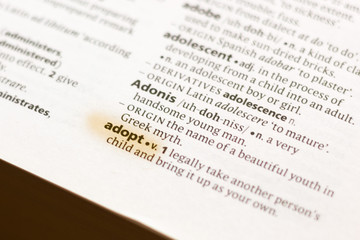 Fototapeta premium Ivanovsk, Russia - November 19, 2018: The word or phrase Adopt in a dictionary.