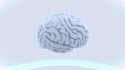 Brain head human mental idea mind 3D illustration background
