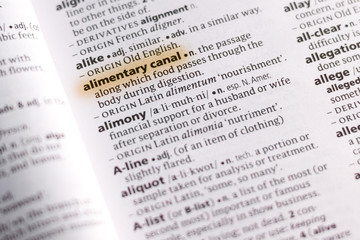 Naklejka premium Ivanovsk, Russia - November 19, 2018: The word or phrase Alimentary Canal in a dictionary.