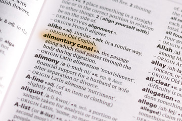 Naklejka premium Ivanovsk, Russia - November 19, 2018: The word or phrase Alimentary Canal in a dictionary.
