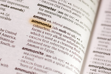 Fototapeta premium Ivanovsk, Russia - November 19, 2018: The word or phrase Ammonia in a dictionary.