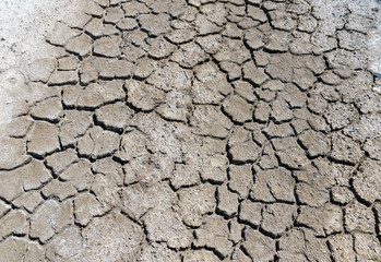 cracked soil in the desert