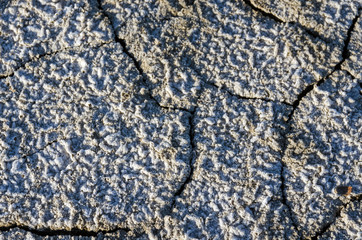 cracked soil in the desert