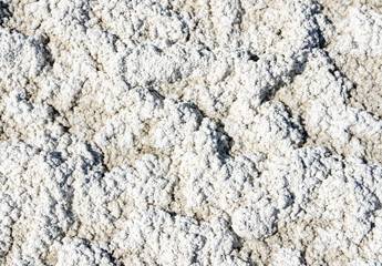 cracked soil in the desert