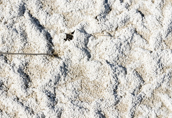 cracked soil in the desert