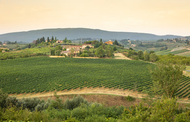 Fototapeta na wymiar landscape with green vineyards next to San Gimignano, province of Siena, Tuscany, Italy