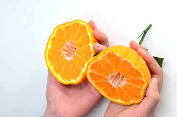 Two oranges in two hands on a white background