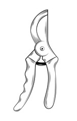 Vector illustration of pruner gardening tools and utensils isolated on a white background, garden maintenance, landscaping and hobby concept, sketch style, line art.