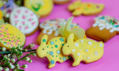 Flat lay Easter treats gingerbread cookies in the form of Easter cake, Easter eggs and rabbits decorated with glaze with spring flowers on a pink background with place for text